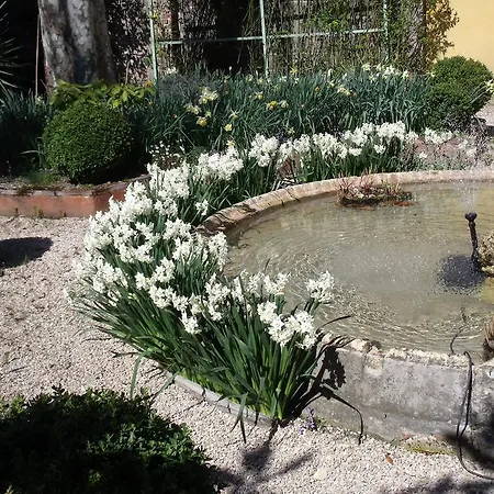 Bed & Breakfast Maison D'hotes Bleu Pastel *