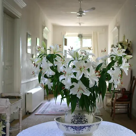 深蓝住宿加早餐酒店