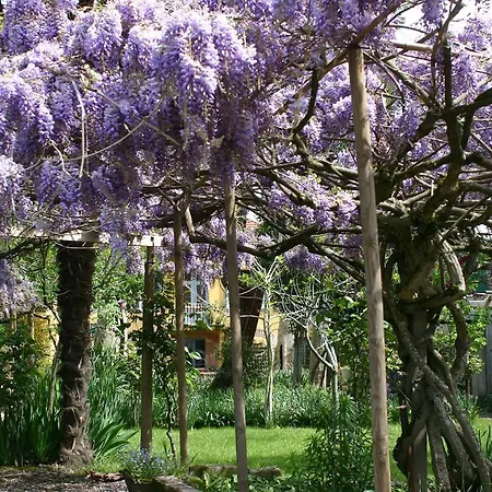 Bed & Breakfast Maison D'hotes Bleu Pastel Gaillac