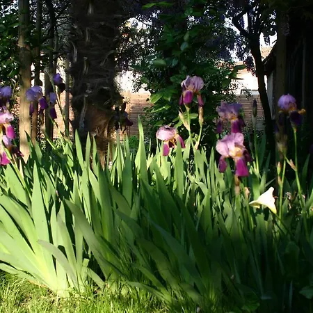 住宿加早餐酒店 深蓝住宿加早餐酒店 盖亚克