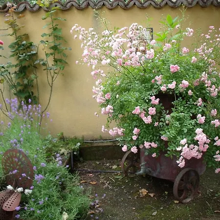 深蓝住宿加早餐酒店 盖亚克