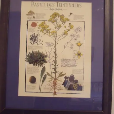 住宿加早餐酒店 深蓝住宿加早餐酒店