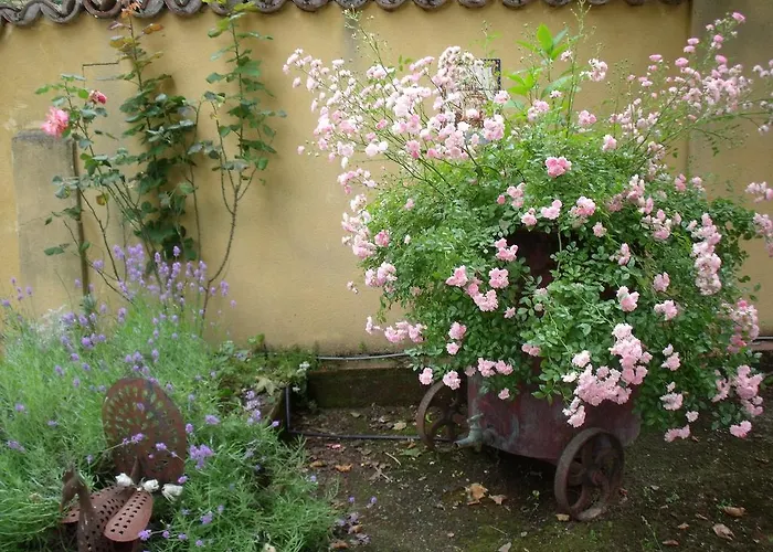 Maison D'hotes Bleu Pastel ガイヤック