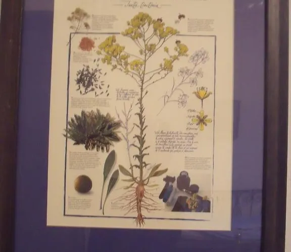 ベッド・アンド・ブレックファスト Maison D'hotes Bleu Pastel